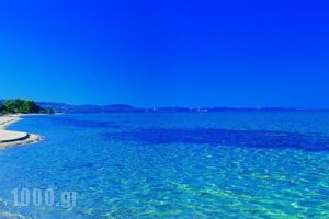 Elinotel Apolamare_travel_packages_in_Macedonia_Halkidiki_Haniotis - Chaniotis