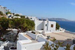 Flaskos Studios_best prices_in_Hotel_Cyclades Islands_Mykonos_Mykonos ora