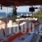 Lasia Hotel_holidays_in_Hotel_Aegean Islands_Lesvos_Plomari