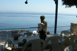 Alkioni Studios_travel_packages_in_Aegean Islands_Samos_Karlovasi