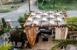 Summer Dreams Studios in Antiparos Rest Areas, Antiparos, Cyclades Islands
