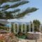 Kalimera Karpathos_best prices_in_Hotel_Dodekanessos Islands_Karpathos_Karpathos Chora