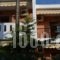 Villa Maria 2_best deals_Villa_Macedonia_Halkidiki_Sykia