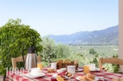 Eleonas Guesthouse in Atalanti, Fthiotida, Central Greece