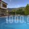 Archontiko Naoumidi_best deals_Hotel_Thessaly_Magnesia_Portaria