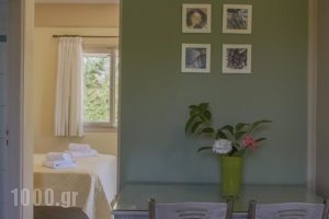 Muses Villas_holidays_in_Villa_Thessaly_Magnesia_Pilio Area