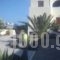 Marina's Studios_lowest prices_in_Hotel_Cyclades Islands_Sandorini_Fira