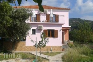 Vassilis Studios_accommodation_in_Hotel_Aegean Islands_Lesvos_Anaxos