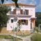 Vassilis Studios_accommodation_in_Hotel_Aegean Islands_Lesvos_Anaxos