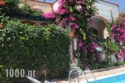 Studios Irineos in Athens, Attica, Central Greece