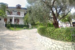 Viki Studios and Apartments_travel_packages_in_Aegean Islands_Thassos_Limenaria