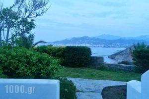 Dream View Hotel_best deals_Hotel_Cyclades Islands_Paros_Paros Chora