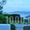 Dream View Hotel_best deals_Hotel_Cyclades Islands_Paros_Paros Chora