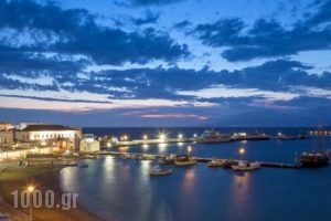 Villa Kampani_best deals_Villa_Cyclades Islands_Mykonos_Mykonos ora