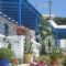 Iliovasilema Studios_lowest prices_in_Hotel_Cyclades Islands_Koufonisia_Koufonisi Rest Areas