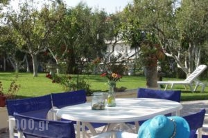 Kontonis Studios_holidays_in_Hotel_Ionian Islands_Zakinthos_Zakinthos Rest Areas