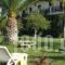 Kontonis Studios_best prices_in_Hotel_Ionian Islands_Zakinthos_Zakinthos Rest Areas