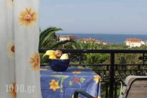 Kontonis Studios_best deals_Hotel_Ionian Islands_Zakinthos_Zakinthos Rest Areas
