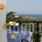 Kontonis Studios_best deals_Hotel_Ionian Islands_Zakinthos_Zakinthos Rest Areas
