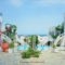 Kurmulis Studios_travel_packages_in_Crete_Chania_Galatas