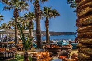 Marita'S Apartments_lowest prices_in_Apartment_Crete_Chania_Agia Marina