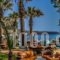Marita'S Apartments_lowest prices_in_Apartment_Crete_Chania_Agia Marina
