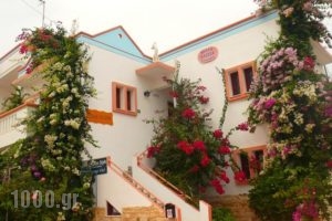 Villa Elizea_holidays_in_Villa_Crete_Chania_Agia Marina