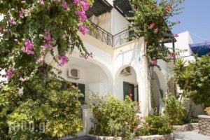 Studio Paul'S_accommodation_in_Hotel_Cyclades Islands_Sandorini_Perissa