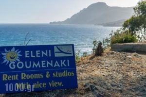 Eleni Goumenaki Plakias Studios_holidays_in_Hotel_Crete_Rethymnon_Plakias