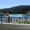 Cyprotel Faliraki_holidays_in_Hotel_Dodekanessos Islands_Rhodes_Archagelos