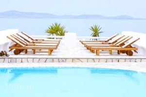 Paolas Beach_accommodation_in_Hotel_Cyclades Islands_Mykonos_Mykonos Chora