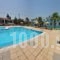 Sam'Studios_accommodation_in_Hotel_Dodekanessos Islands_Rhodes_Faliraki