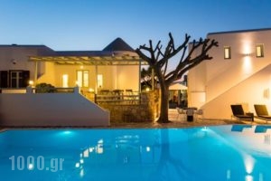 Anemomylos Residence_travel_packages_in_Cyclades Islands_Paros_Naousa