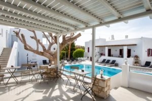 Anemomylos Residence_holidays_in_Hotel_Cyclades Islands_Paros_Naousa
