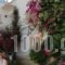 Villa Elizea_best deals_Villa_Crete_Chania_Agia Marina