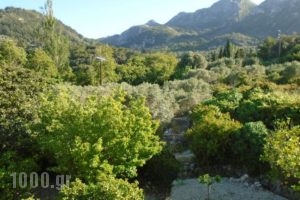 Stella Bay Rooms_accommodation_in_Room_Aegean Islands_Samos_Samos Rest Areas