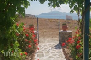 Anatoli Studios_lowest prices_in_Hotel_Cyclades Islands_Schinousa_Schinousa Chora