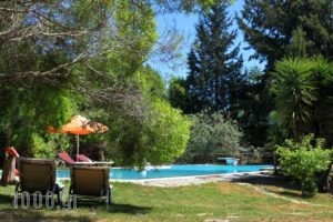 Wildrose Corfu Apartments_travel_packages_in_Ionian Islands_Corfu_Corfu Rest Areas