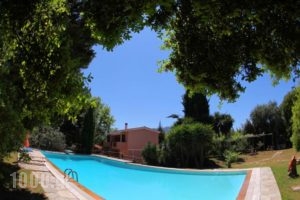 Wildrose Corfu Apartments_best deals_Apartment_Ionian Islands_Corfu_Corfu Rest Areas
