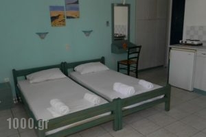 Dora Studios 2_holidays_in_Hotel_Cyclades Islands_Andros_Andros City