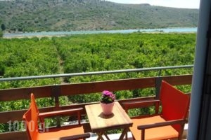 Ktima Klimentini_accommodation_in_Hotel_Peloponesse_Arcadia_Astros