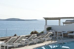 Voula Apartments & Rooms_best deals_Room_Cyclades Islands_Mykonos_Mykonos ora