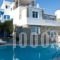 Voula Apartments & Rooms_travel_packages_in_Cyclades Islands_Mykonos_Mykonos ora