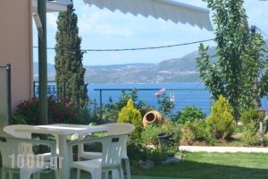 Vergina Star Hotel_holidays_in_Hotel_Ionian Islands_Lefkada_Lefkada's t Areas