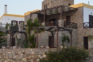 Syrou Lotos_accommodation_in_Hotel_Cyclades Islands_Syros_Posidonia