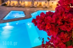 Ariadne Hotel Apartment_best deals_Apartment_Crete_Rethymnon_Plakias