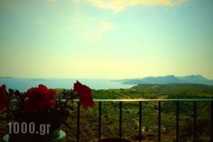 Aetovigli_best deals_Hotel_Thessaly_Magnesia_Pilio Area