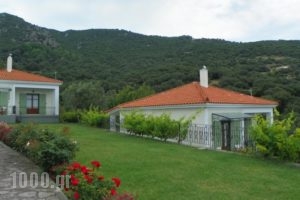Vafios Villas_best prices_in_Villa_Aegean Islands_Lesvos_Petra