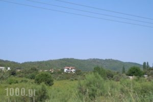 Dimitros Apartments_lowest prices_in_Apartment_Macedonia_Halkidiki_Chalkidiki Area