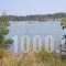 Dimitros Apartments_best deals_Apartment_Macedonia_Halkidiki_Chalkidiki Area